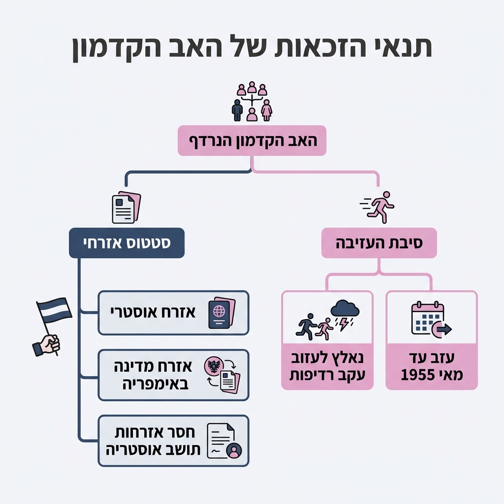 אינפוגרפיקה